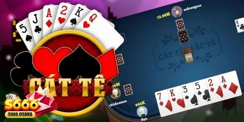  bài Catte